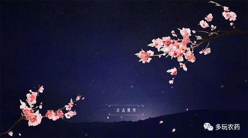 诸葛亮桃花爆料视频,视频爆料背后的历史真相