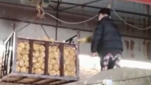 消毒液爆料视频,视频爆料揭示行业黑幕